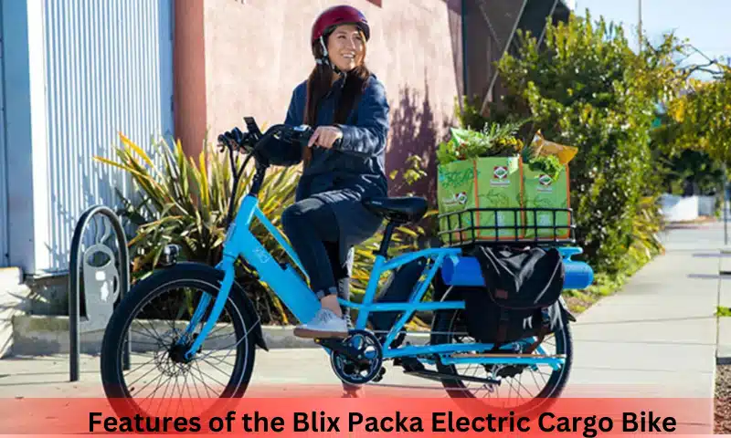 Features of the Blix Packa Electric Cargo Bike