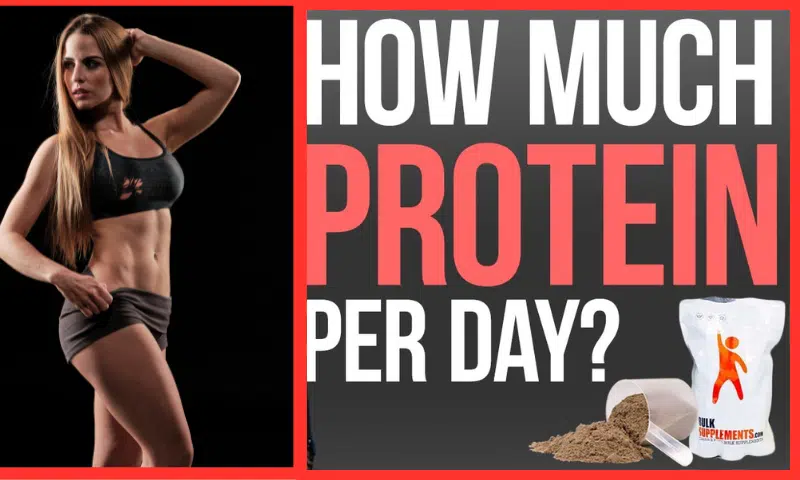 Easy Recipe to Help Build Muscle & How Much Protein to Build Muscle