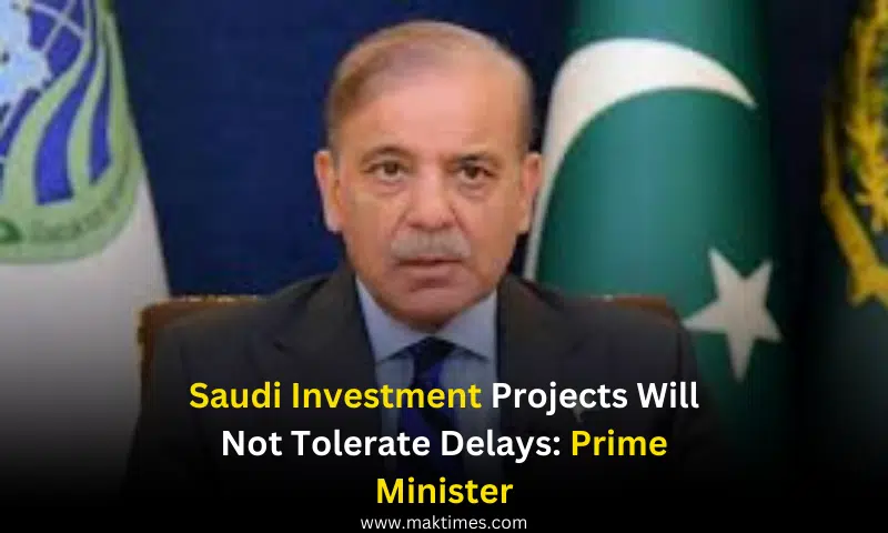 Saudi Investment Projects Will Not Tolerate Delays: Prime Minister